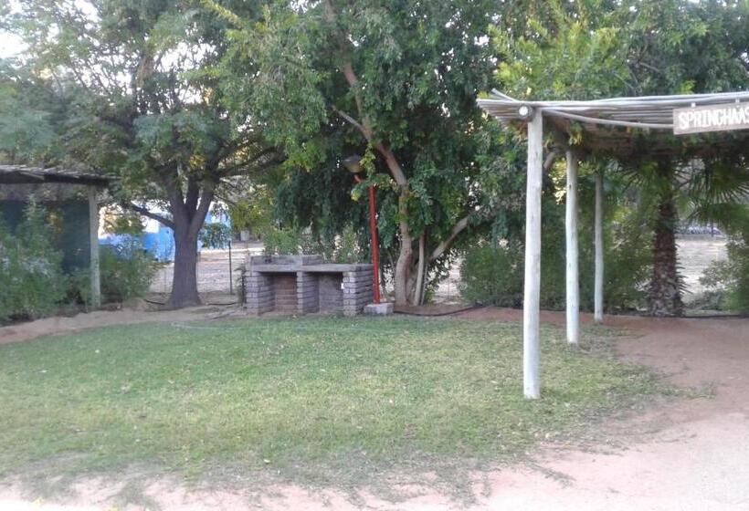 ペンション Kalahari Camelthorn Guesthouse And Camping