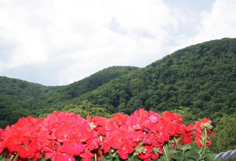 ペンション Metzgerei Moselgasthof Andries