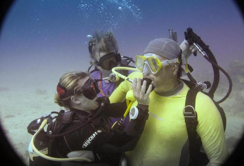 منتجع Gecko Nature Lodge Home Of Swahili Divers The Best Dive Center And Famous Gecko Restaurant