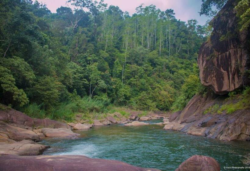 リゾートホテル Jungle River