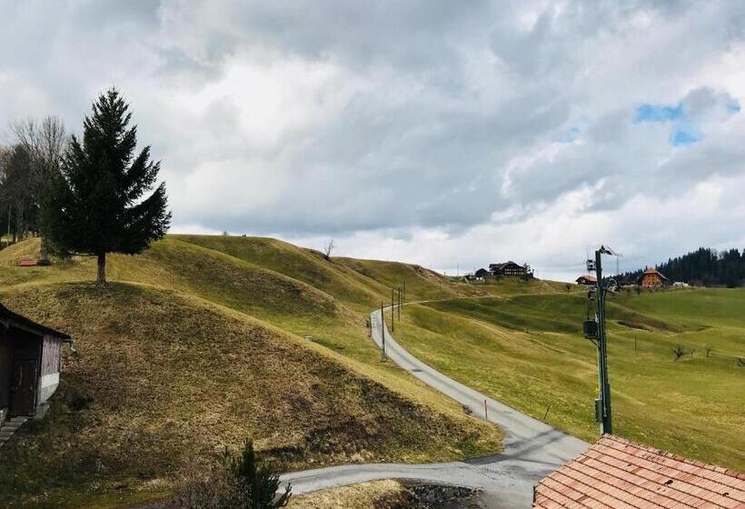 旅馆 Gasthof Zum Bären