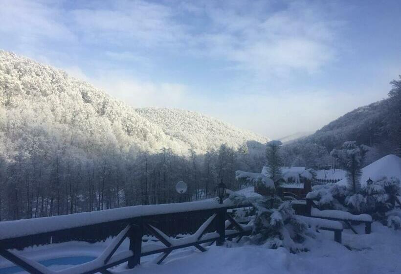 הוסטל Sadyba Sribne Dzherelo