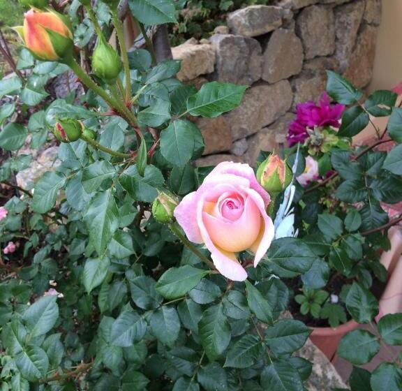 צימר Mona S Sleep & Go