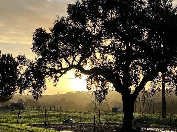צימר Quinta Da Varzea