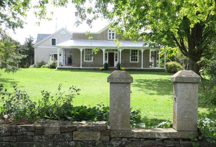 Harlem Stonegate B&b