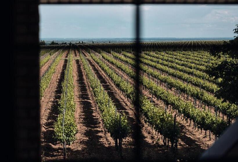 هتل Domeniile Panciu Winery & Resort