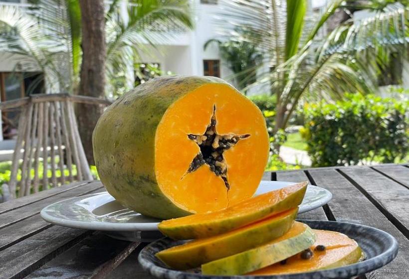 בית מלון כפרי Five Palms