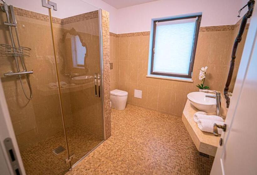 בית מלון כפרי Gradinile Romane