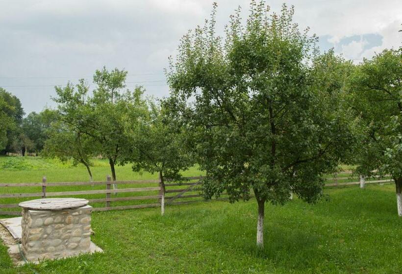 Отель La Saliste