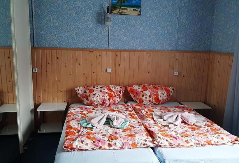 ペンション садиба в горах крістіан