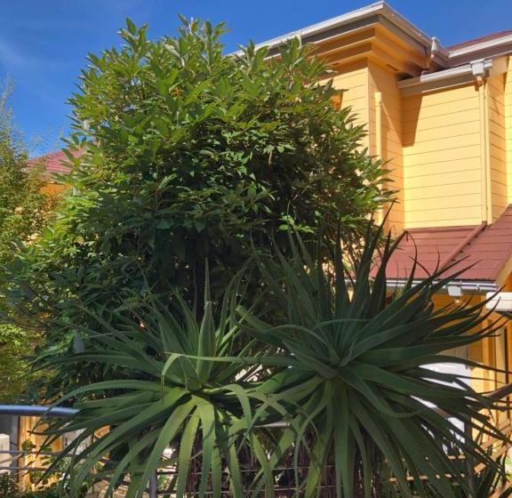 פנסיון 伊道荘園