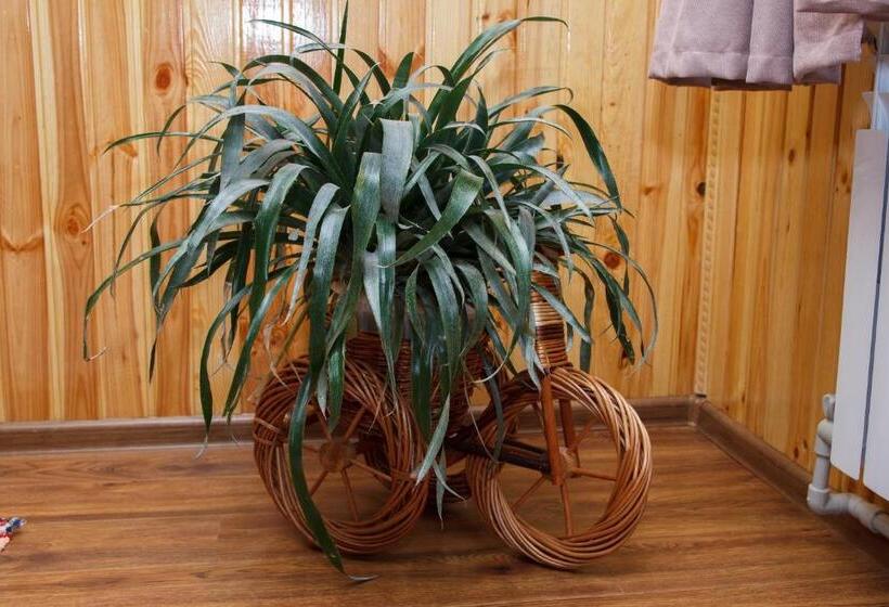 ペンション карпатське сяйво