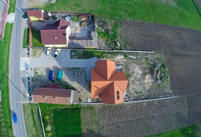 Пансион Casa Albă Fehér Ház