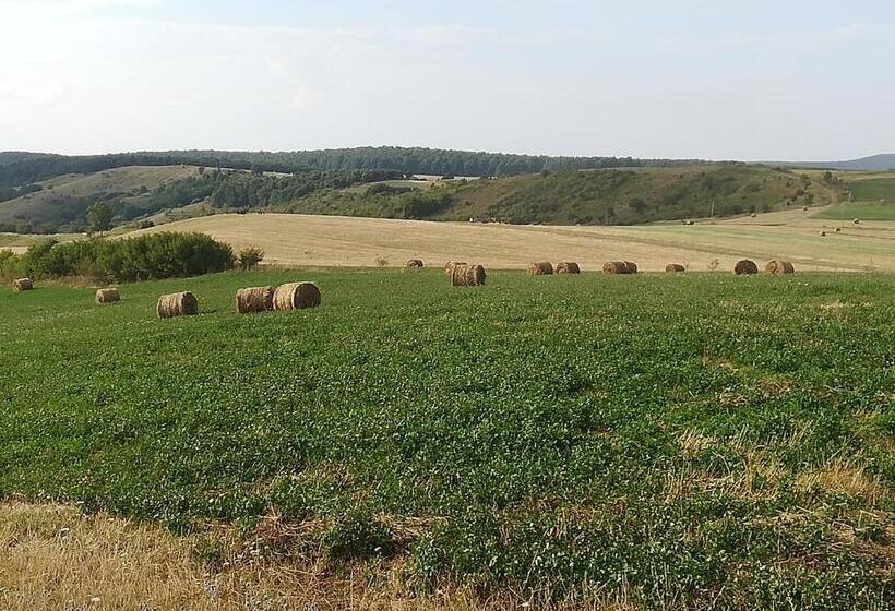 Pensiunea La Conac