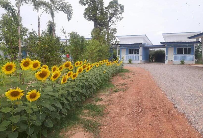 استراحتگاه เคียงเลิงรีสอร์ท