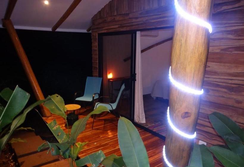 住宿加早餐  Baliyana Lodge