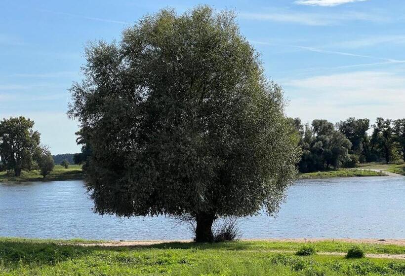 ホテル Alte Fischerkate