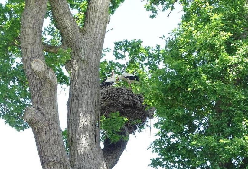 Пансион Gästehaus Am Elberadweg By Hotel Alte Fischerkate