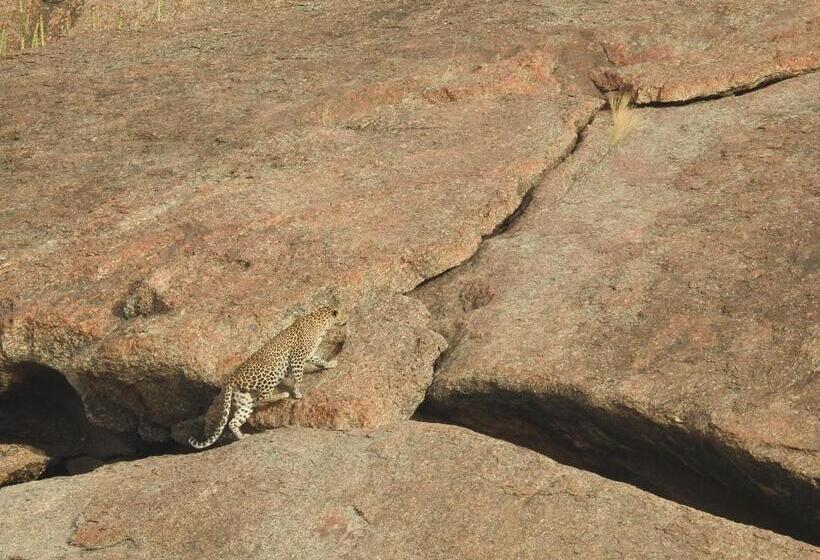 منتجع Jawai Bera Leopard Camp