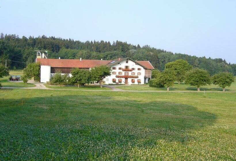 Отель Lohnerhof