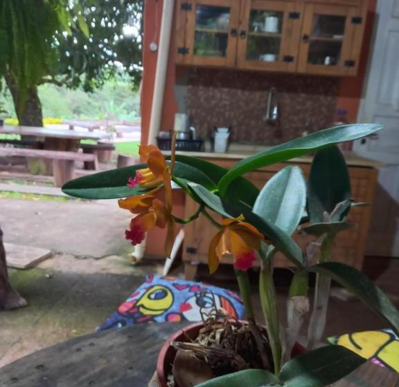 膳宿费 Rancho Dos Pássaros Amarelos