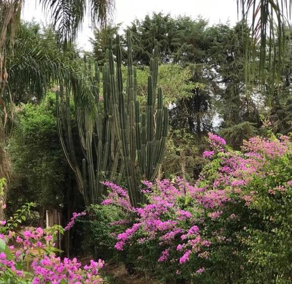 膳宿费 Rancho Dos Pássaros Amarelos