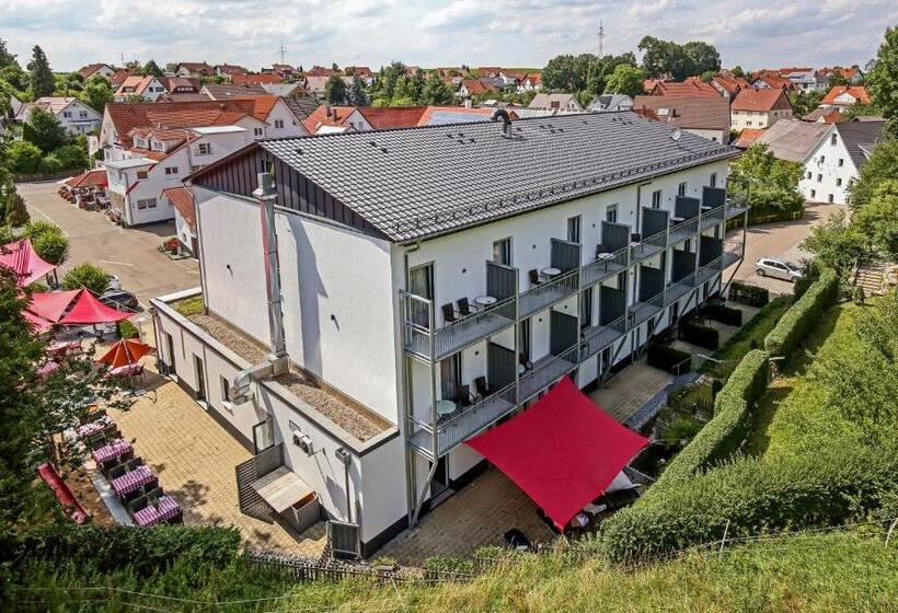 Aalener Römerhotel Awl