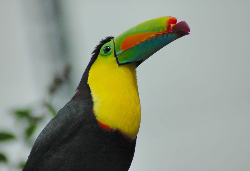 فندق Hacienda Pozo Azul