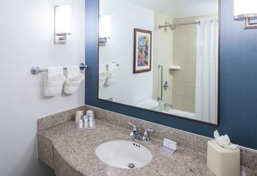 هتل Hilton Garden Inn Dallas Allen