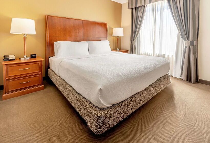 בית מלון כפרי Hilton Garden Inn Houston/the Woodlands