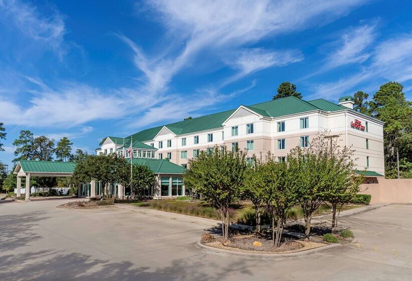 בית מלון כפרי Hilton Garden Inn Houston/the Woodlands