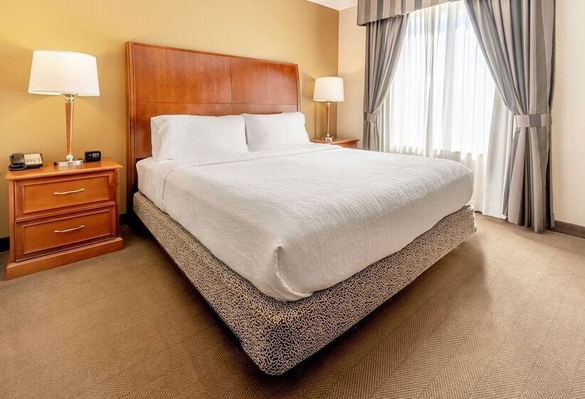 בית מלון כפרי Hilton Garden Inn Houston/the Woodlands