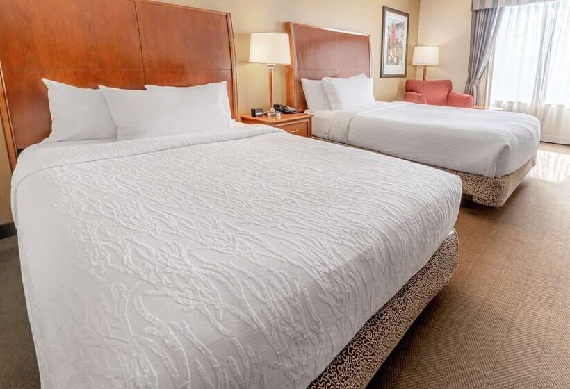 בית מלון כפרי Hilton Garden Inn Houston/the Woodlands