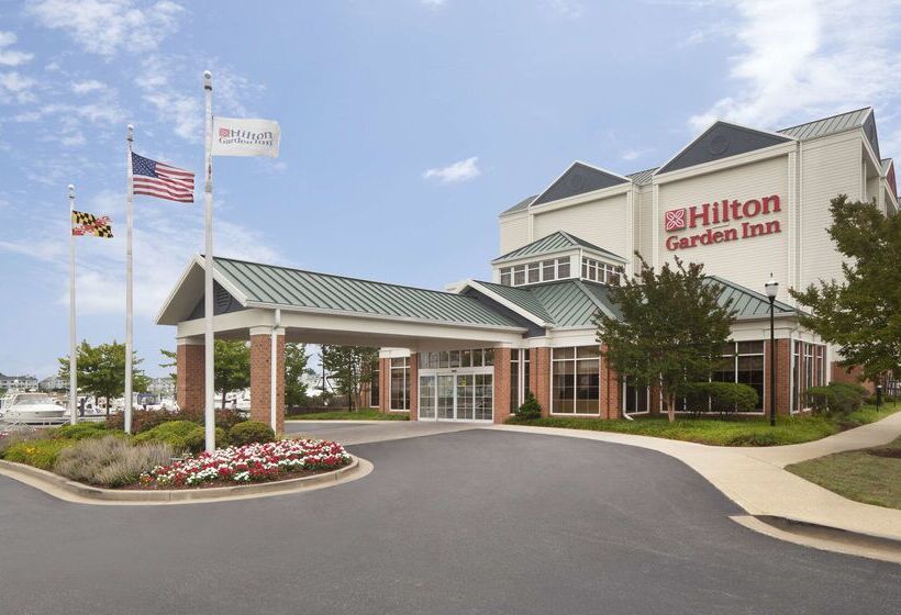 فندق Hilton Garden Inn Kent Island Marina