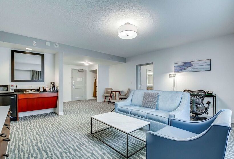 هتل Hilton Garden Inn Louisville/northeast