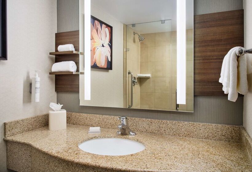 هتل Hilton Garden Inn Schaumburg