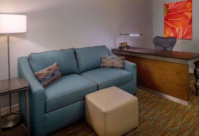 ホテル Hilton Garden Inn St. Louis/o Fallon Mo