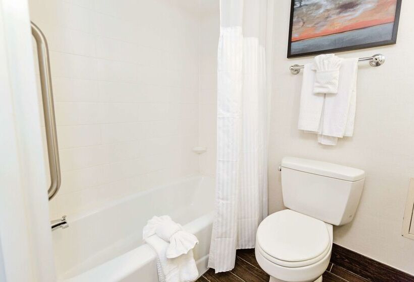 فندق Hilton Garden Inn Temple Medical Center