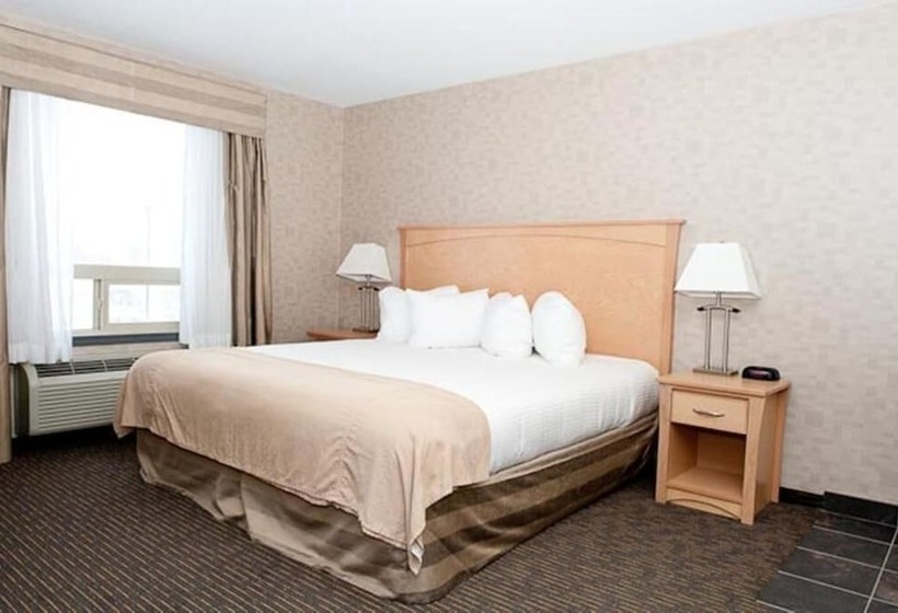 فندق Paradise Inn And Suites