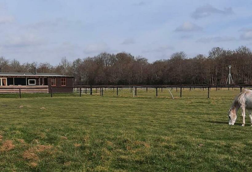 مبيت وإفطار Unieke Vriendenkamer Met Bedstedes Tot 11 Personen En 2 Rustig Gelegen Chalets 2 En 4 Persoons Te Hu
