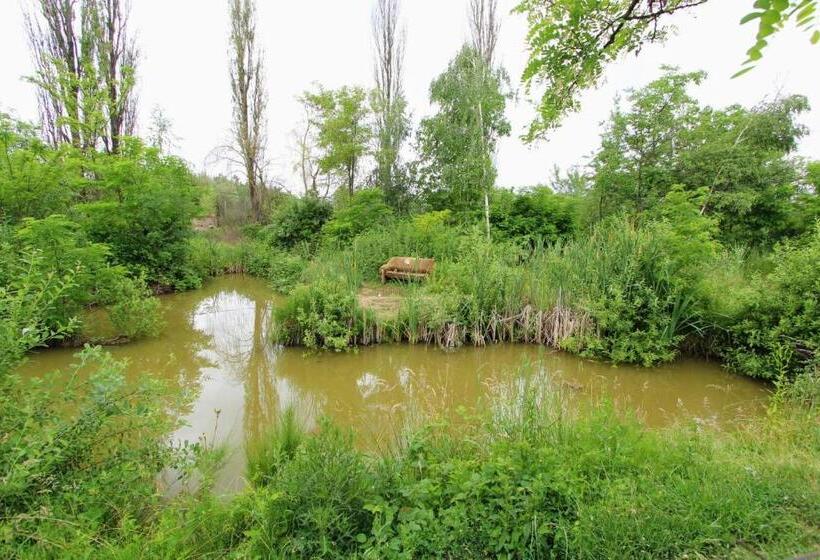 Bed and Breakfast фазенда змерега