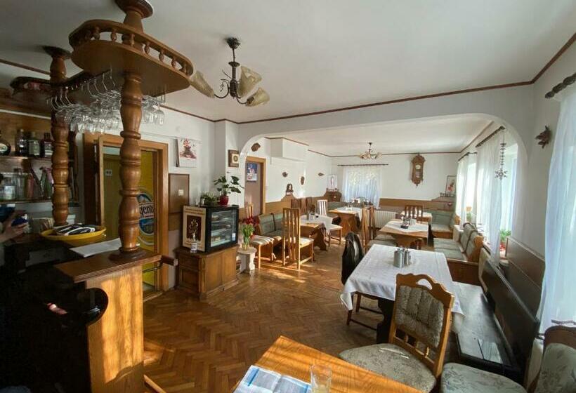 بنسيون Casa Ott