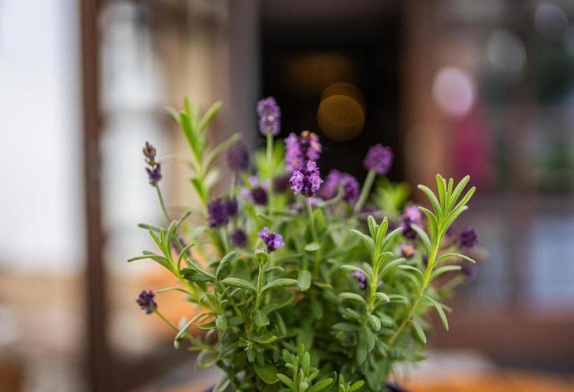 ユースホステル Gasthof Alte Schmiede G Luckendorf