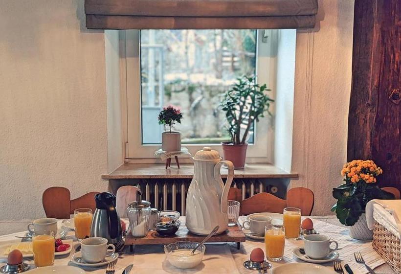 ユースホステル Gästehaus Zum Goldberg