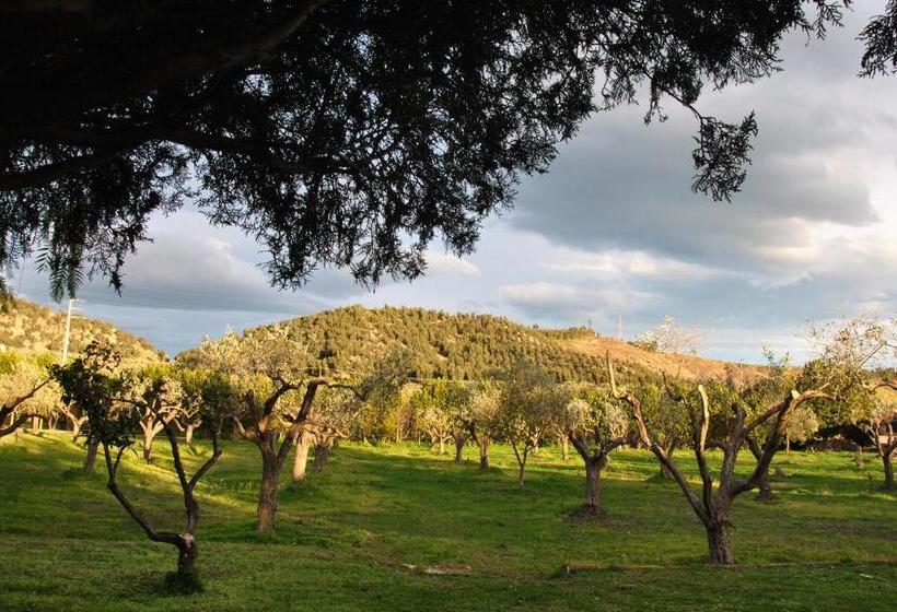 민박 Agriturismo La Mandragola Relais