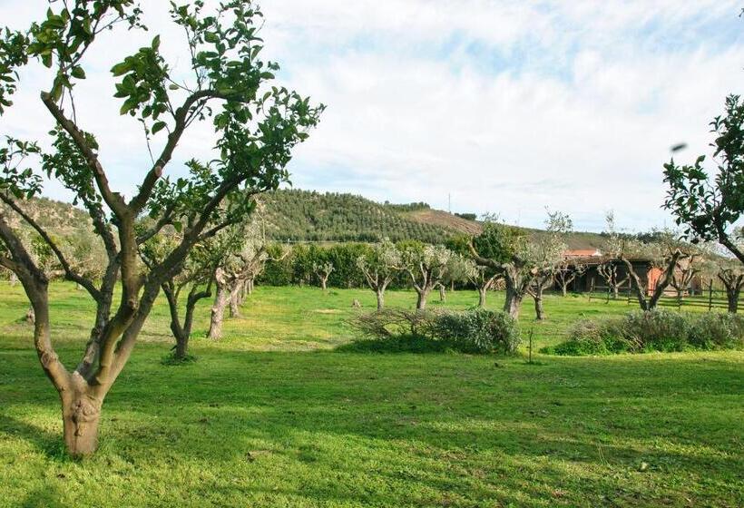 민박 Agriturismo La Mandragola Relais