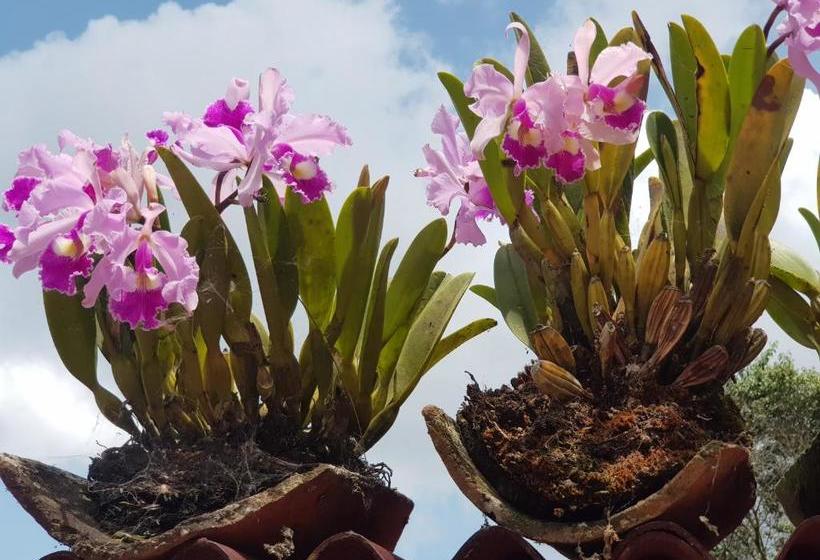 בית מלון כפרי Atha Ka I Ecofinca