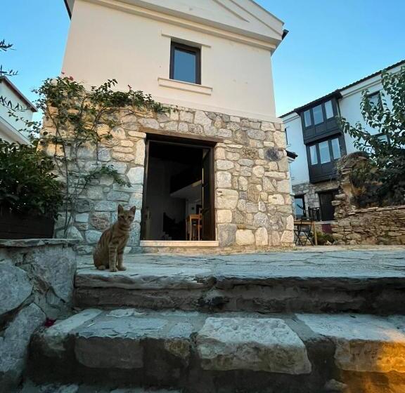 هاستل Agon Ephesus