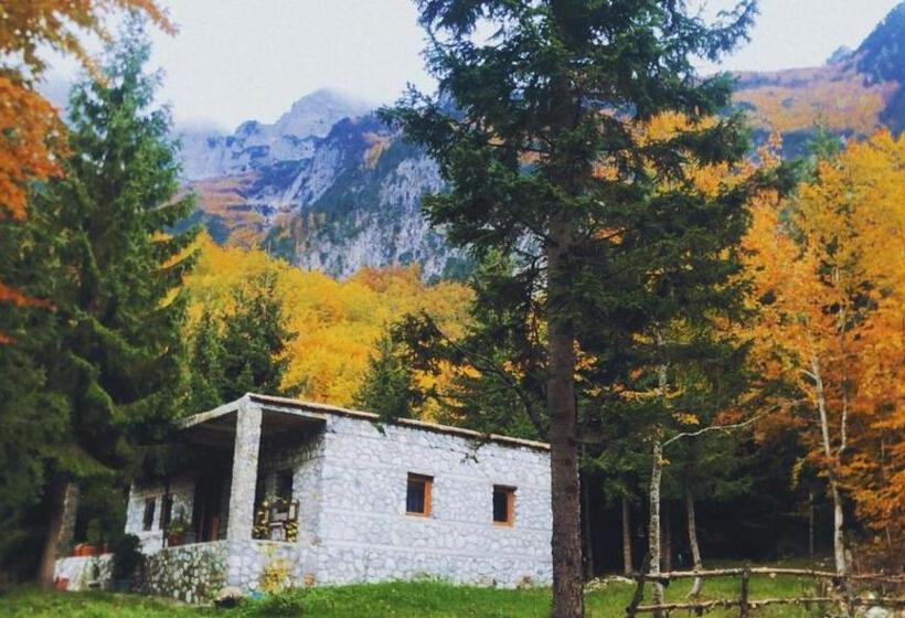 تختخواب و صبحانه Guest House Hyrmet Demushi