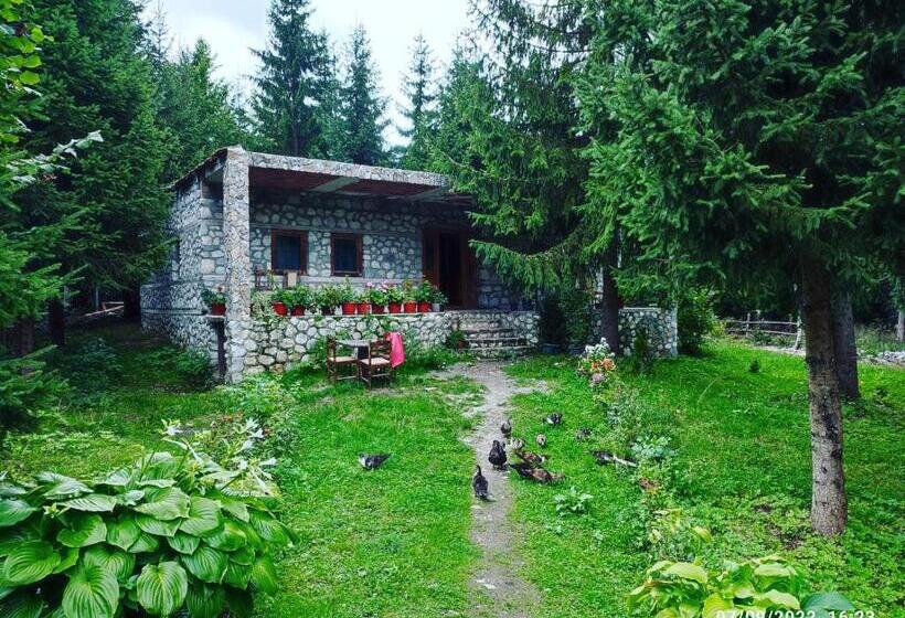 تختخواب و صبحانه Guest House Hyrmet Demushi